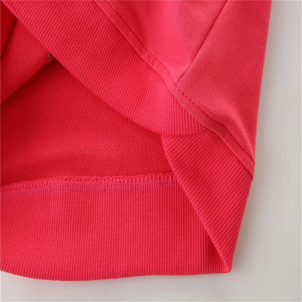 Children's Embroidered Cartoon Bunny Long Sleeve Cotton Sweatshirt - Hot Pink
