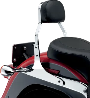 Cobra 602-1102 Sissy Bar - Mini