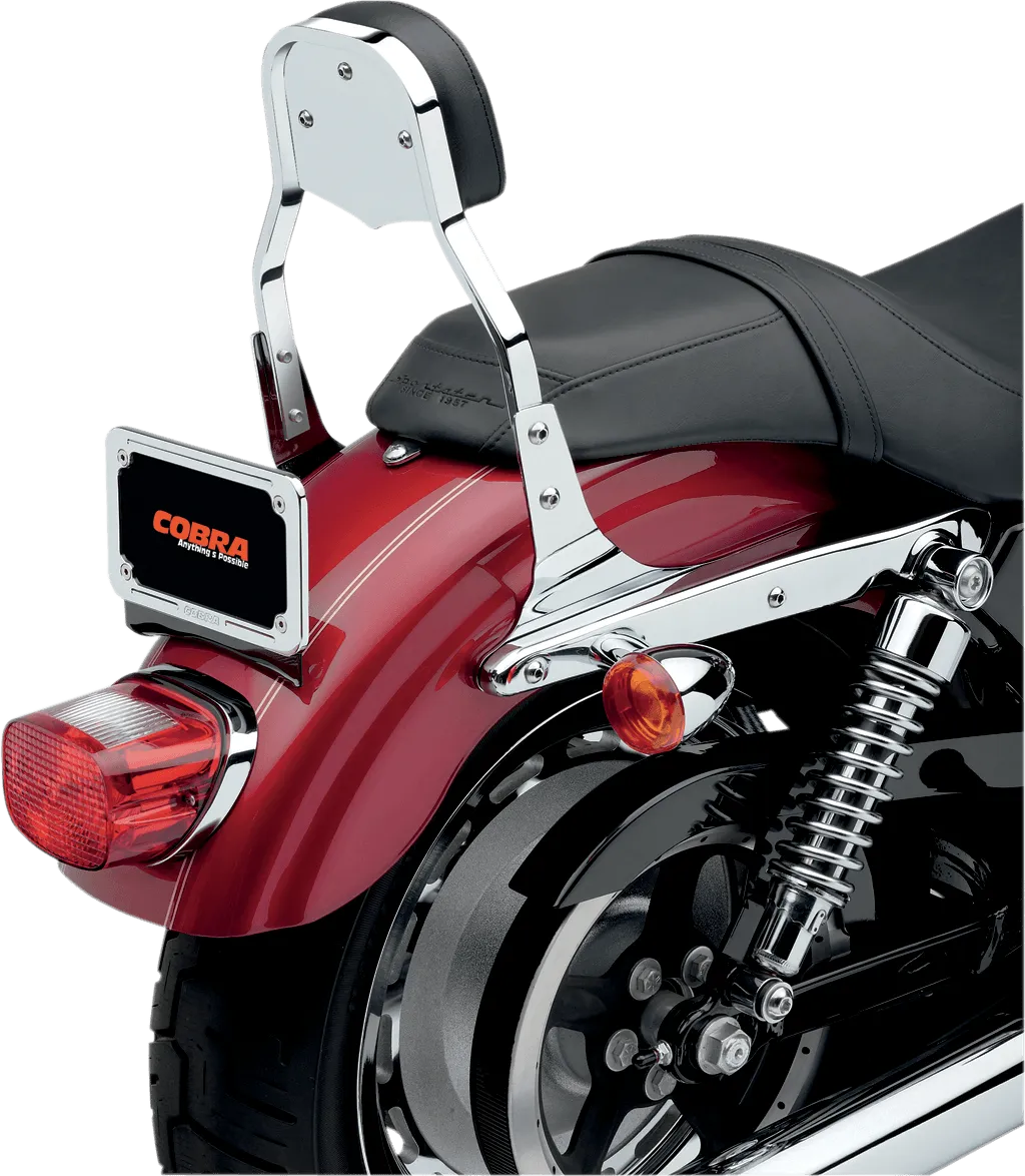 Cobra 602-1102 Sissy Bar - Mini