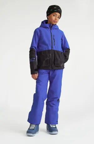 Hammer Skihose | Surf the web Blue