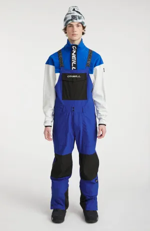 Shred Bib Skihose | Surf the web Blue